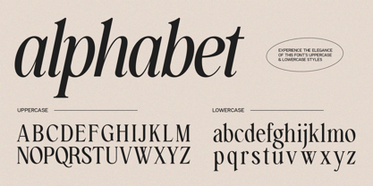 GC Amore Promised Font Poster 12