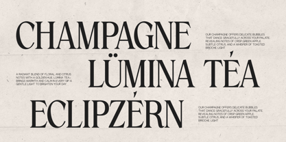 GC Amore Promised Font Poster 14