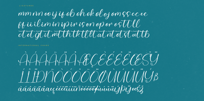 Delight Splash Font Poster 8