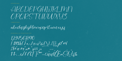 Delight Splash Font Poster 7