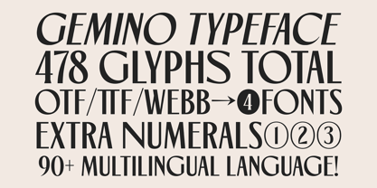 TNSC Gemino Font Poster 10