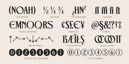 TNSC Gemino Font Poster 12