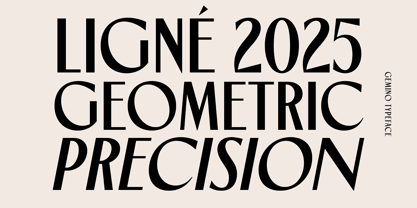 TNSC Gemino Font Poster 6