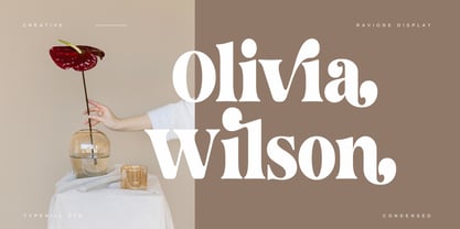 Ravione Display Font Poster 9