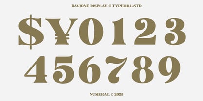 Ravione Display Font Poster 8