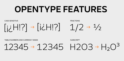 BBKV Base Font Poster 11