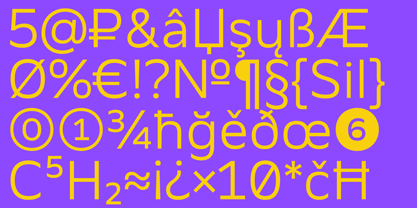 BBKV Base Font Poster 13