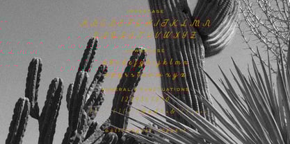 Gelapitto Font Poster 6