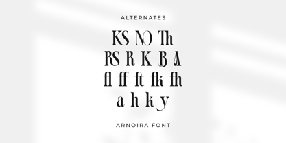 Arnoira Font Poster 11