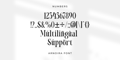Arnoira Font Poster 10