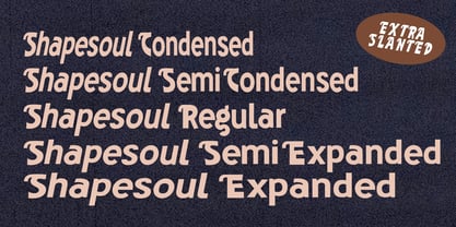 Shapesoul Display Font Poster 5