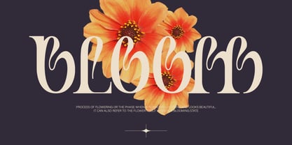 Welmap Font Poster 5