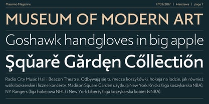 Massimo Font Poster 7