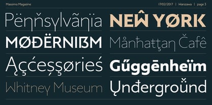 Massimo Font Poster 3