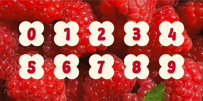 Big Berry Font Poster 5