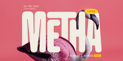Metha Font Poster 1