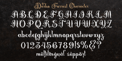Darko Forrest Font Poster 3