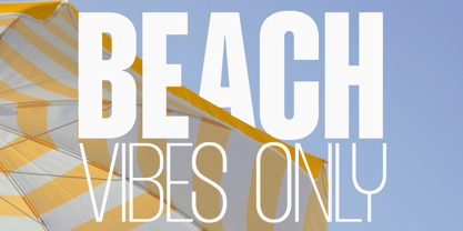 Mavine Font Poster 12