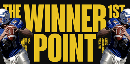 Mavine Font Poster 11