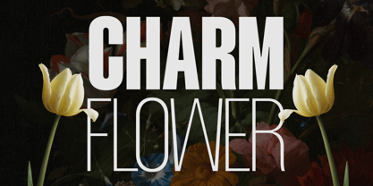 Mavine Font Poster 7