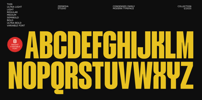 Mavine Font Poster 14