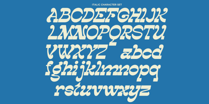 Anyheat Font Poster 12