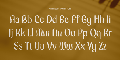 Kanela Font Poster 13