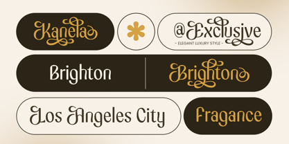 Kanela Font Poster 6