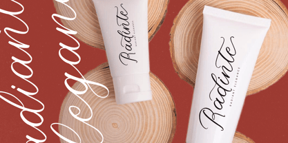 Victorian Heritage Font Poster 7