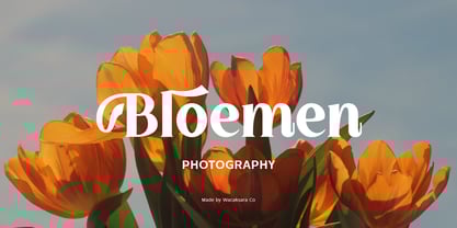 Amberglen Font Poster 2