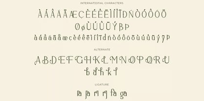 Odrifa Font Poster 11