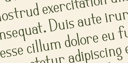 Odrifa Font Poster 10