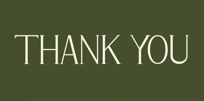 Odrifa Font Poster 15