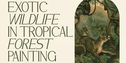 Odrifa Font Poster 3