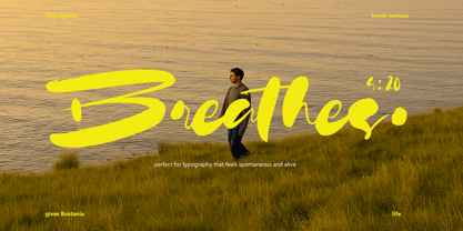 Bastonia Font Poster 8