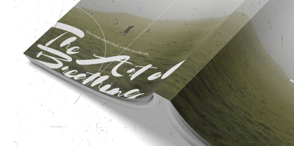 Bastonia Font Poster 9