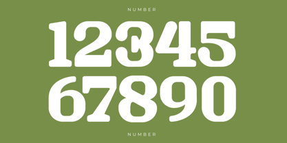 Masking Renta Font Poster 13