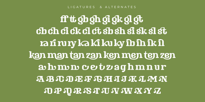 Masking Renta Font Poster 15