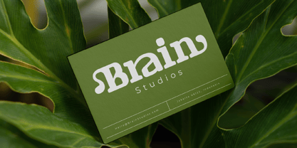 Masking Renta Font Poster 6