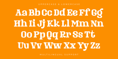 Masking Renta Font Poster 14