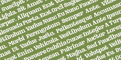 Masking Renta Font Poster 11