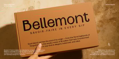 Gerbnio Font Poster 3