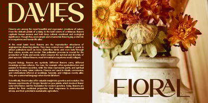 Latruq Font Poster 9