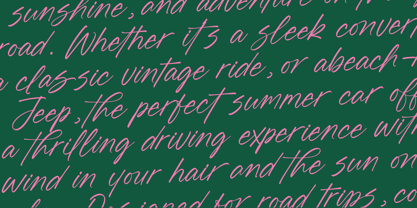 Blynkas Scripte Font Poster 11