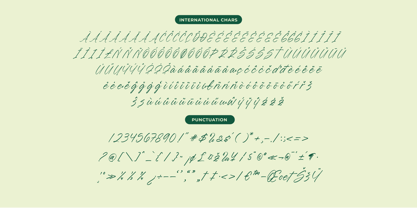 Blynkas Scripte Font Poster 14