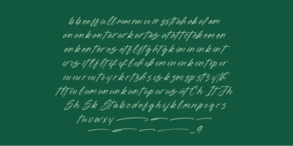 Blynkas Scripte Font Poster 13