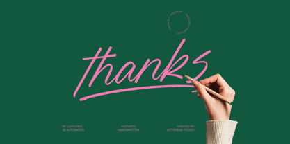 Blynkas Scripte Font Poster 15