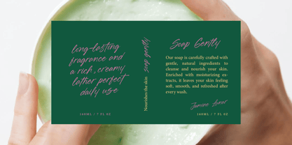 Blynkas Scripte Font Poster 6