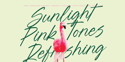 Blynkas Scripte Font Poster 2