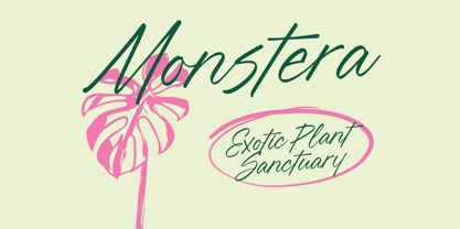 Blynkas Scripte Font Poster 4